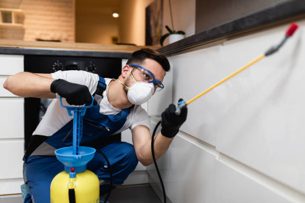 Best Local Pest Control Services  in St Clairsville, OH