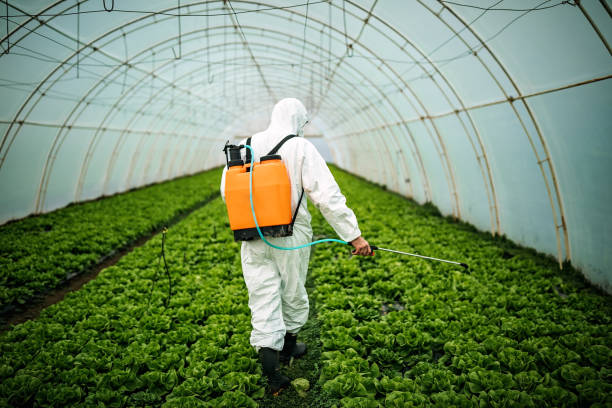 Best Commercial Pest Control Services  in St Clairsville, OH