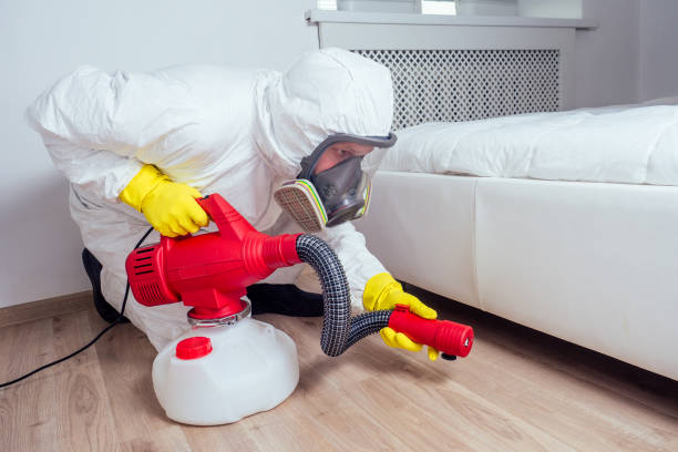 Best Pest Prevention Services  in St Clairsville, OH