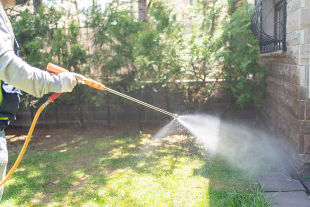 Wildlife Control Services in St Clairsville, OH