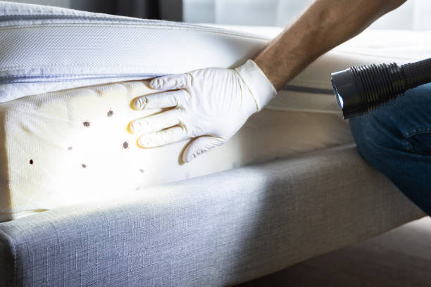 Best Pest Control Near Me  in St Clairsville, OH