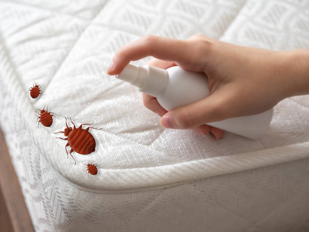 Best Exterminator Services  in St Clairsville, OH