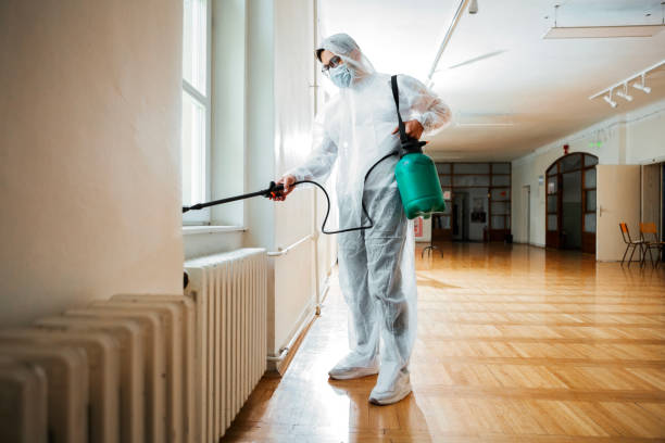 Best Flea Control Services  in St Clairsville, OH