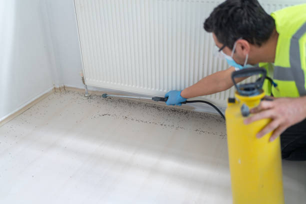 Professional Pest Control in St Clairsville, OH